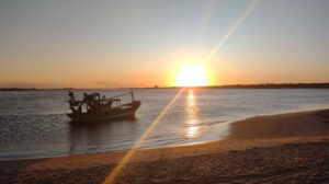 tripadvisor.com.br