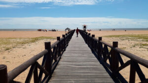 beachsearcher.com